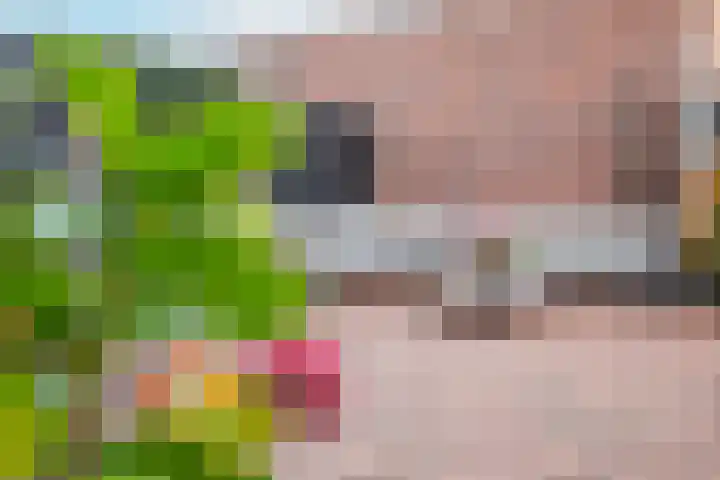 Meester A Datemalaan 3 Kesteren thumbnail 87