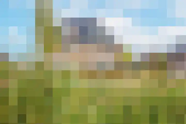 Meester A Datemalaan 3 Kesteren thumbnail 94