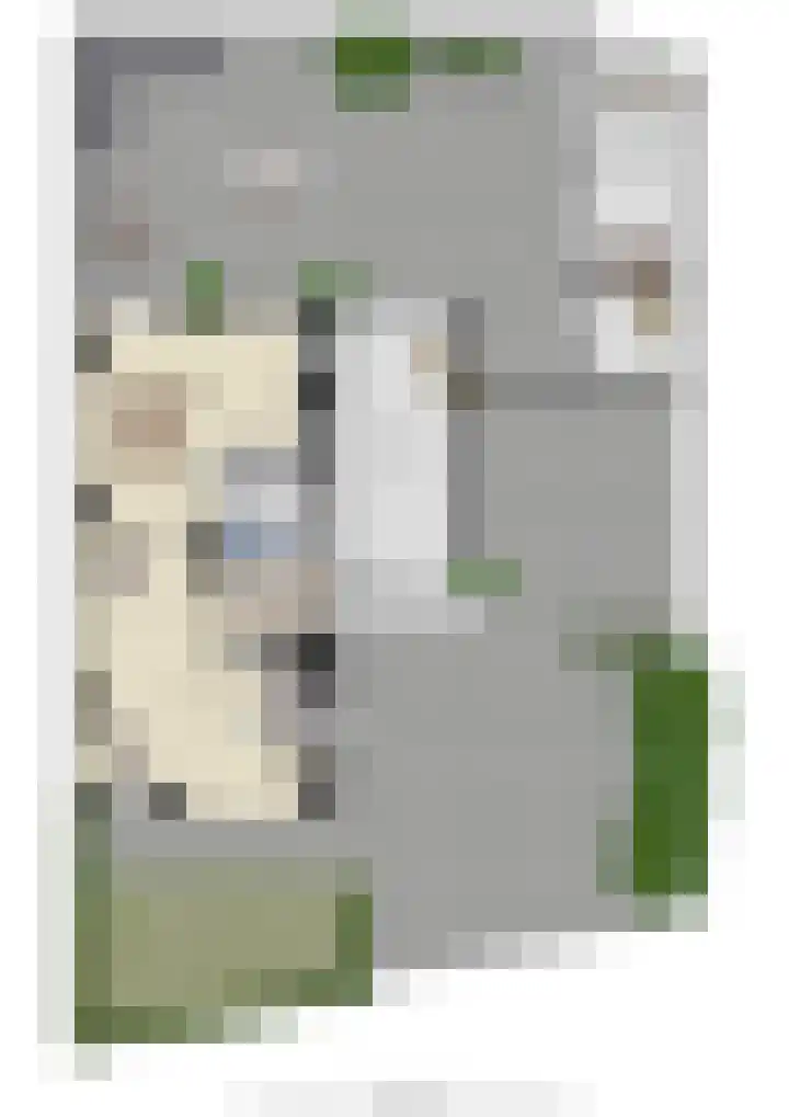 Meester A Datemalaan 3 Kesteren thumbnail 99
