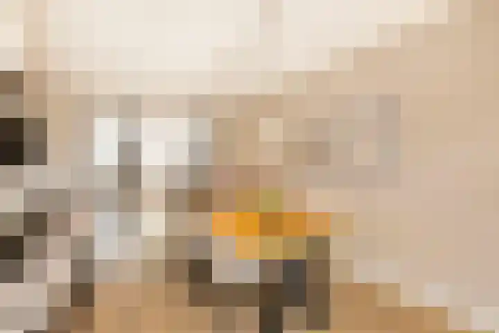 Meester A Datemalaan 37 Kesteren thumbnail 12