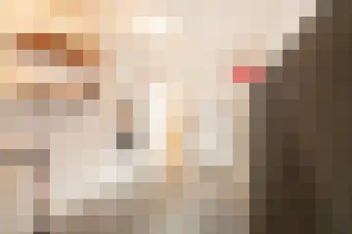Meester A Datemalaan 37 Kesteren thumbnail 16