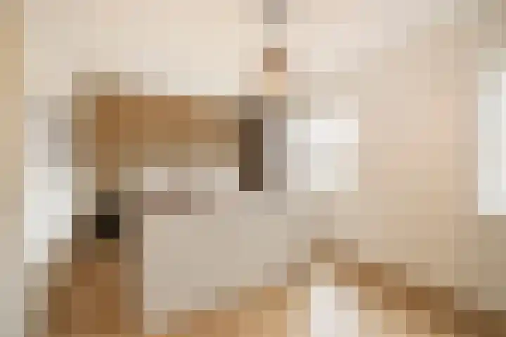 Meester A Datemalaan 37 Kesteren thumbnail 19