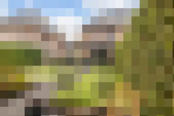 Meester A Datemalaan 37 Kesteren foto 2