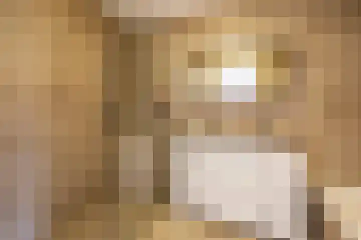 Meester A Datemalaan 37 Kesteren thumbnail 24
