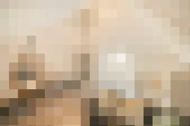 Meester A Datemalaan 37 Kesteren thumbnail 26