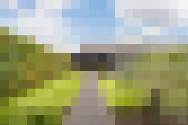 Meester A Datemalaan 37 Kesteren thumbnail 27