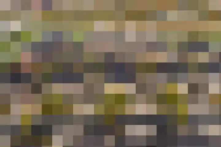 Meester A Datemalaan 37 Kesteren foto 3