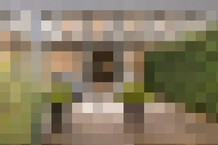 Meester A Datemalaan 37 Kesteren thumbnail 33