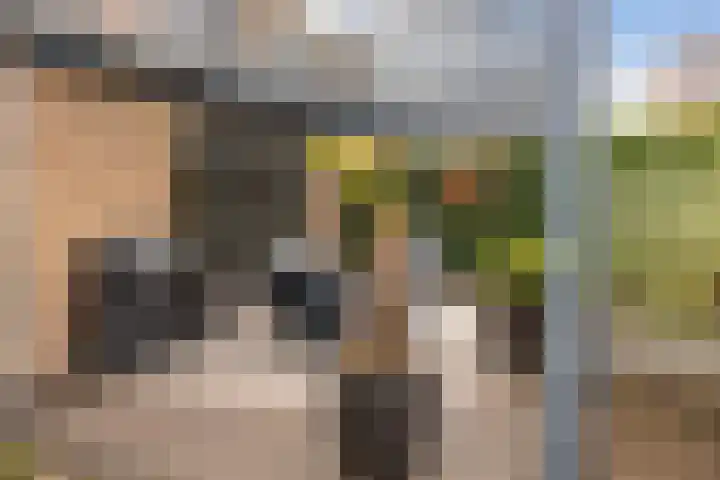 Meester A Datemalaan 37 Kesteren thumbnail 35