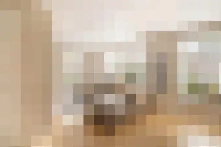 Meester A Datemalaan 37 Kesteren thumbnail 4