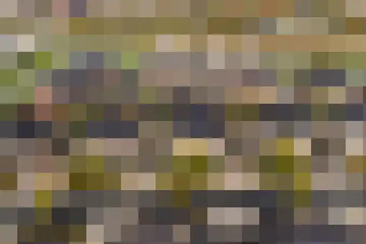 Meester A Datemalaan 37 Kesteren thumbnail 40