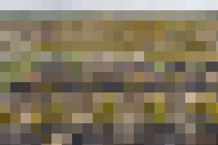 Meester A Datemalaan 37 Kesteren thumbnail 41