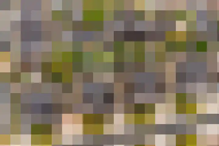 Meester A Datemalaan 37 Kesteren thumbnail 42