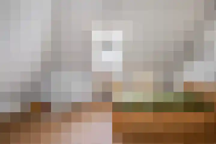 Meester A Datemalaan 45 Kesteren thumbnail 32