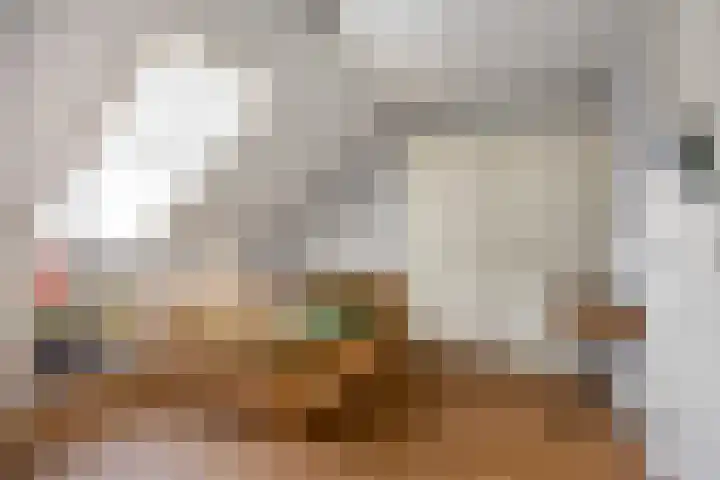 Meester A Datemalaan 45 Kesteren thumbnail 34