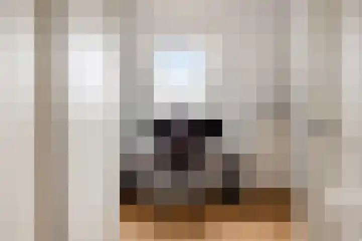 Meester A Datemalaan 45 Kesteren thumbnail 35