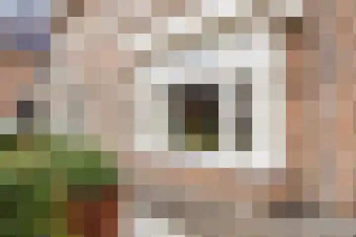 Meester A Datemalaan 45 Kesteren thumbnail 39