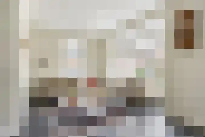 Meester A Datemalaan 45 Kesteren thumbnail 7