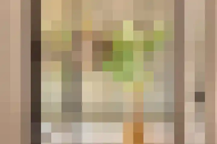 Meester A Datemalaan 48 Kesteren thumbnail 10
