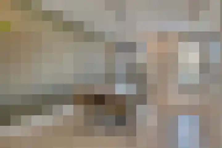 Meester A Datemalaan 48 Kesteren thumbnail 11