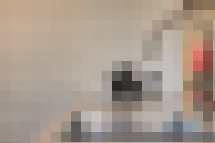 Meester A Datemalaan 48 Kesteren thumbnail 15