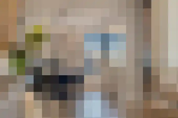 Meester A Datemalaan 48 Kesteren thumbnail 19