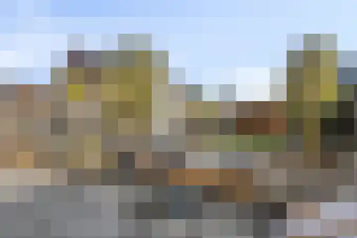 Meester A Datemalaan 48 Kesteren thumbnail 37