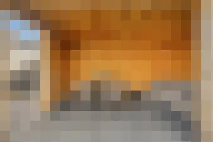 Meester A Datemalaan 48 Kesteren thumbnail 39