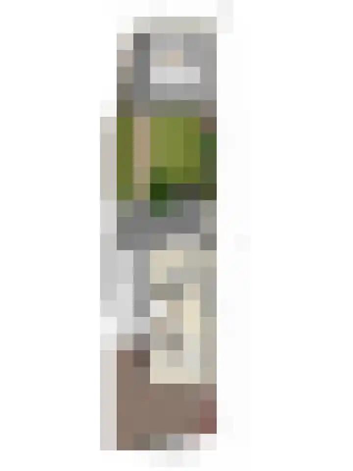 Meester A Datemalaan 48 Kesteren thumbnail 46