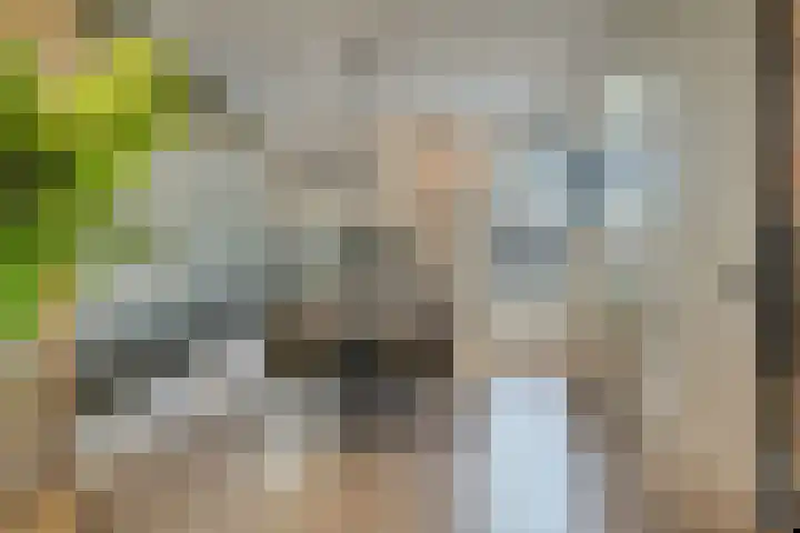 Meester A Datemalaan 48 Kesteren thumbnail 9