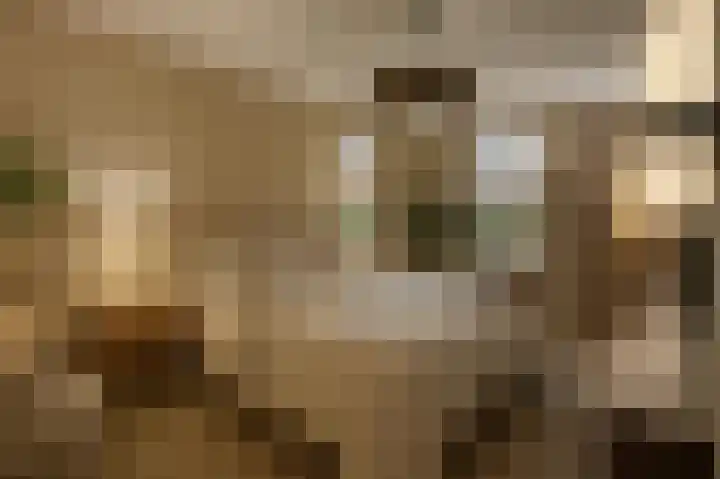 Meester Helmesstraat 2 Zeddam thumbnail 11