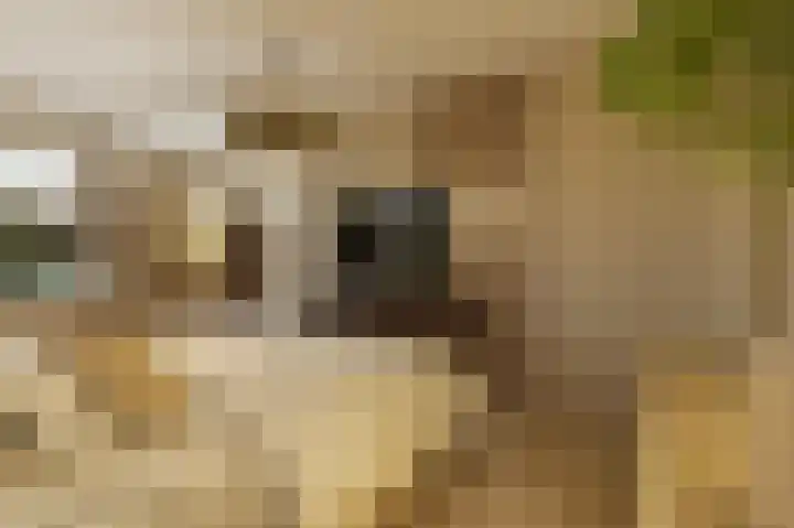 Meester Helmesstraat 2 Zeddam thumbnail 12