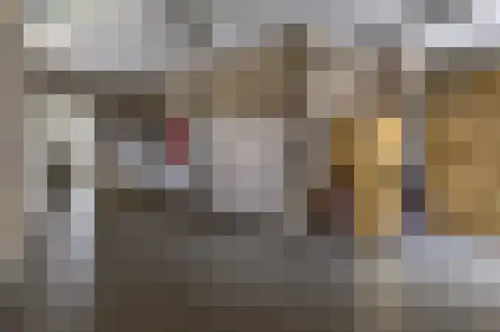 Meester Molstraat 5 Kruisland thumbnail 18