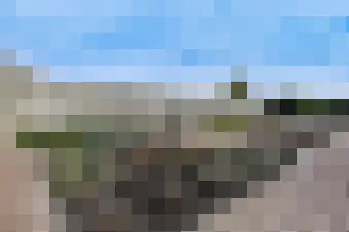 Meester Molstraat 5 Kruisland thumbnail 33