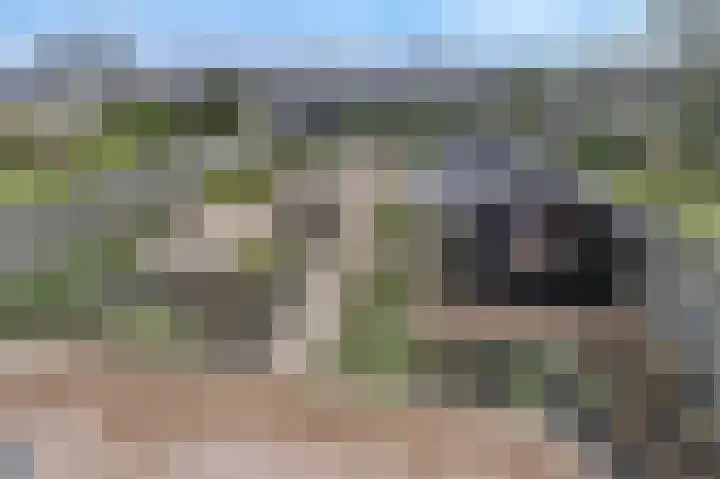 Meester Molstraat 5 Kruisland thumbnail 39