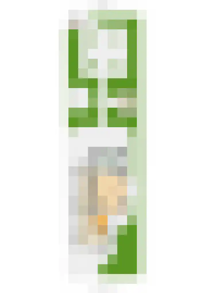 Meester Molstraat 5 Kruisland thumbnail 45