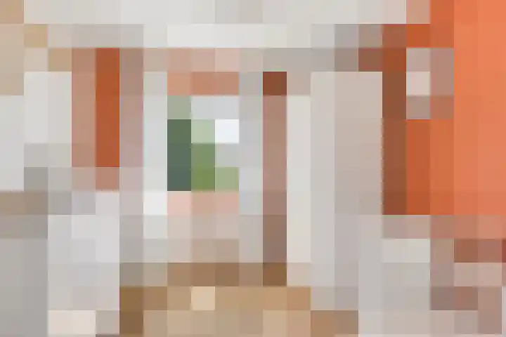 Meester Nijhoffstraat 30 Heerde thumbnail 18