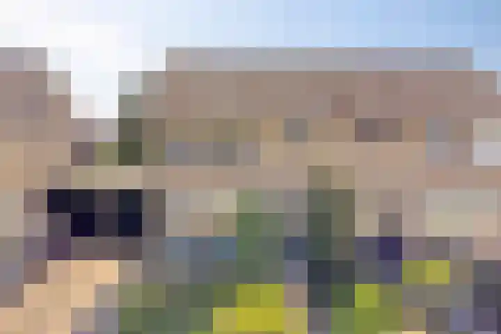 Meester Nijhoffstraat 30 Heerde thumbnail 33