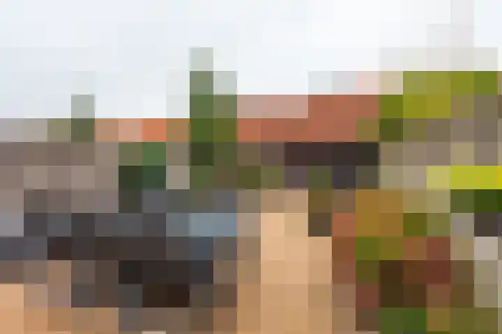 Meester Pluimhof 14 Baarn thumbnail 12