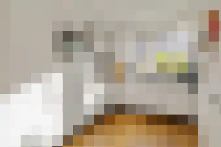 Meester Pluimhof 37 Baarn thumbnail 8