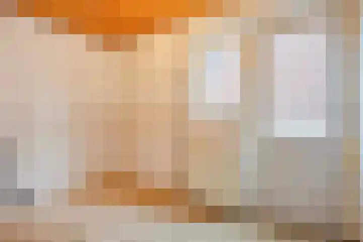 Meester van Coothstraat 12 A Lith thumbnail 14