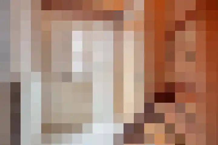 Meester van Coothstraat 12 A Lith thumbnail 8