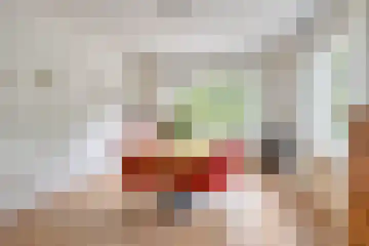 Meester van Coothstraat 18 A Lith thumbnail 10