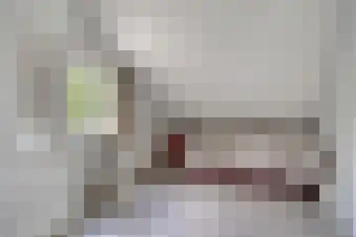 Meester van Coothstraat 18 A Lith thumbnail 23