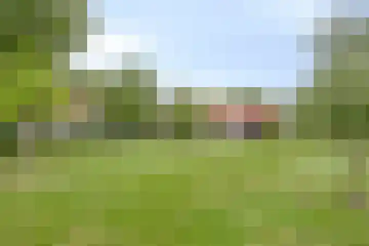 Meester van Coothstraat 18 A Lith thumbnail 36