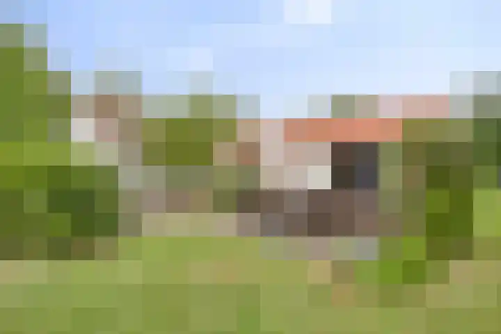 Meester van Coothstraat 18 A Lith thumbnail 39