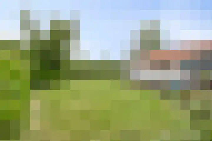 Meester van Coothstraat 18 A Lith thumbnail 40