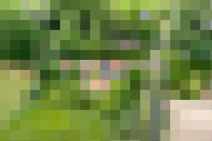 Meester van Coothstraat 18 A Lith thumbnail 48