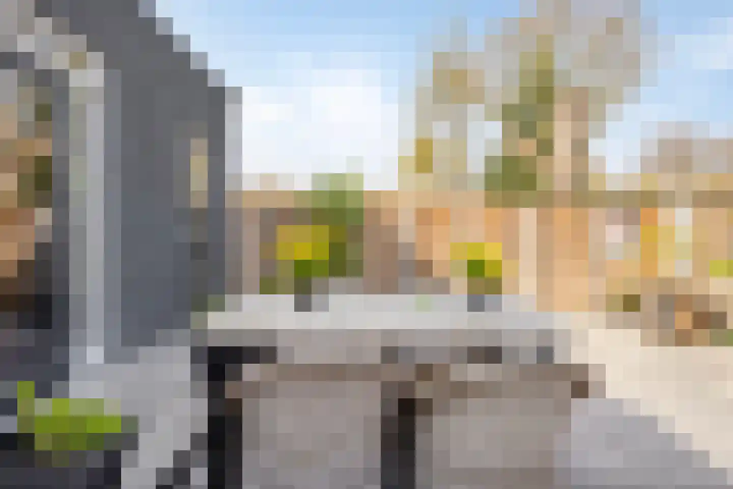 Meester van Coothstraat 18 A Lith thumbnail 50