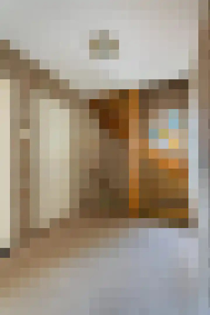 Meester van Coothstraat 18 A Lith thumbnail 57